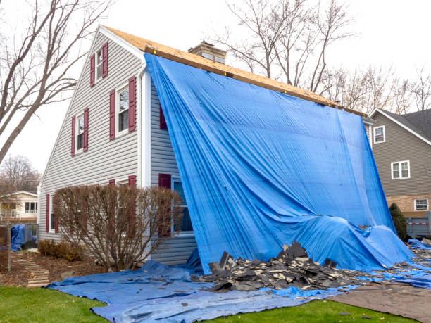 Best Carpet Removal and Disposal  in Jackson, MO